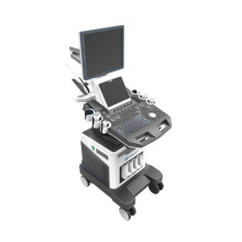 Medizinische 3D 4D Farb-Doppler-Herz-Ultraschall-Echo-Maschinen-Preis